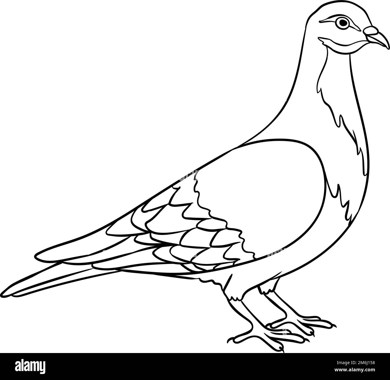 Pigeon isolated coloring page for kids stock vector image art