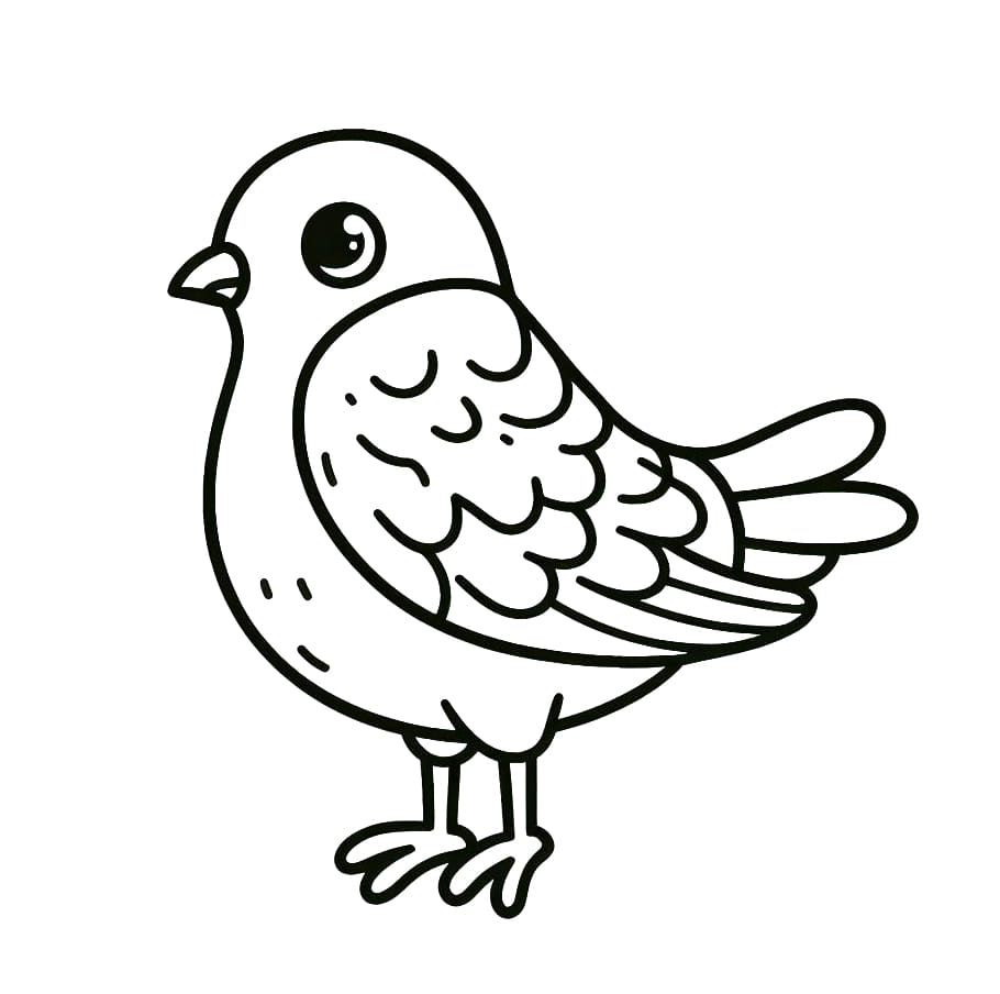 A cute pigeon coloring page