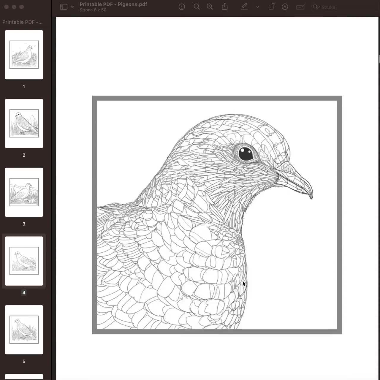 Kdp interior pigeon coloring pages x printable pdf kids adult coloring book mercial use activity book