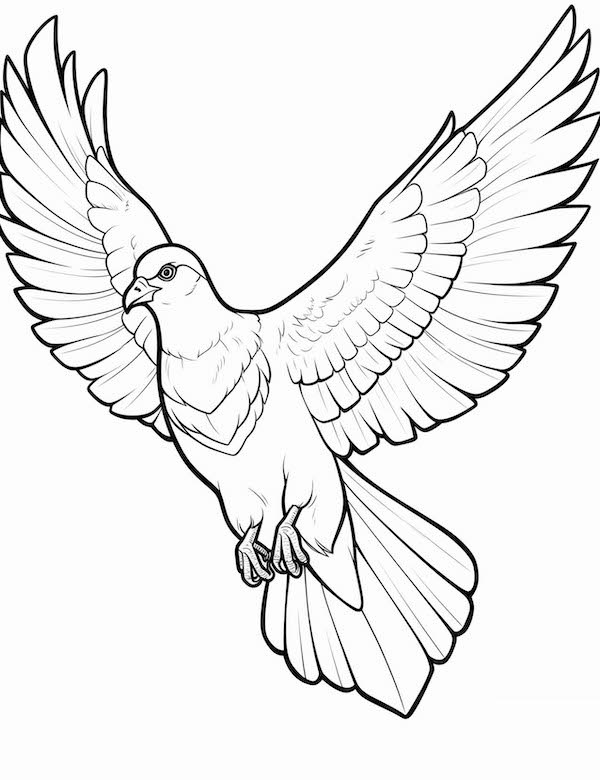 Bird coloring pages for kids and adults