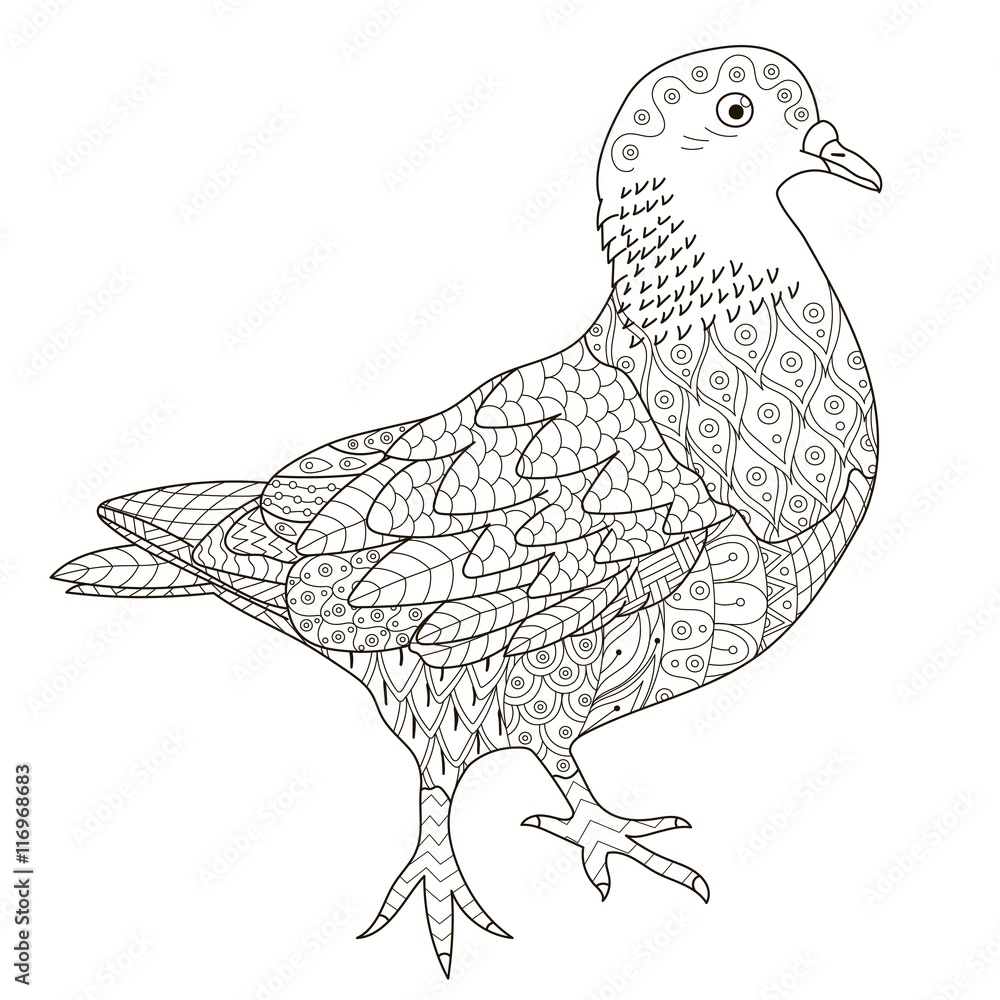 Zentangle stylized pigeon for coloring page vector