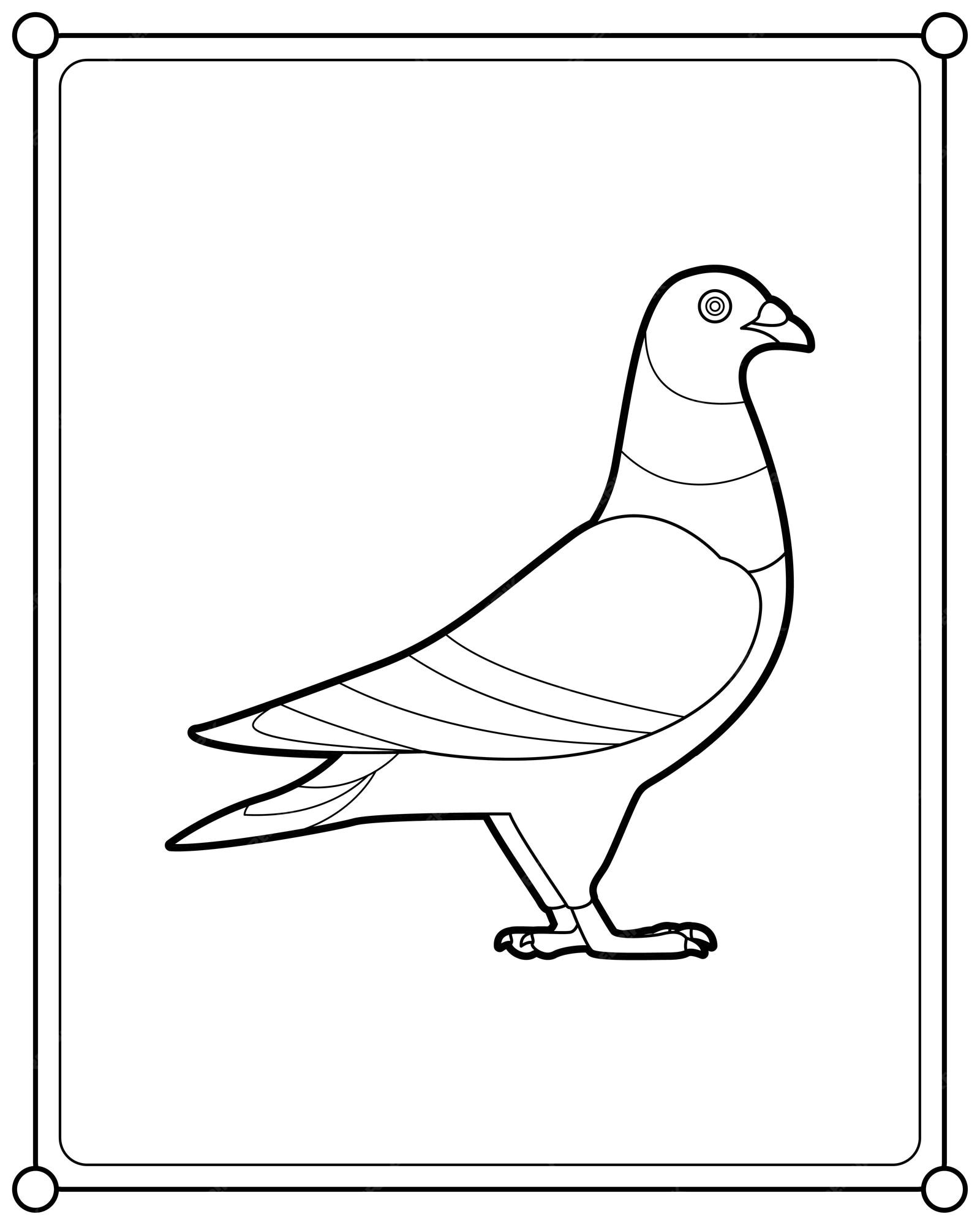 Premium vector beautiful pigeon suitable for childrens coloring page vector illustration