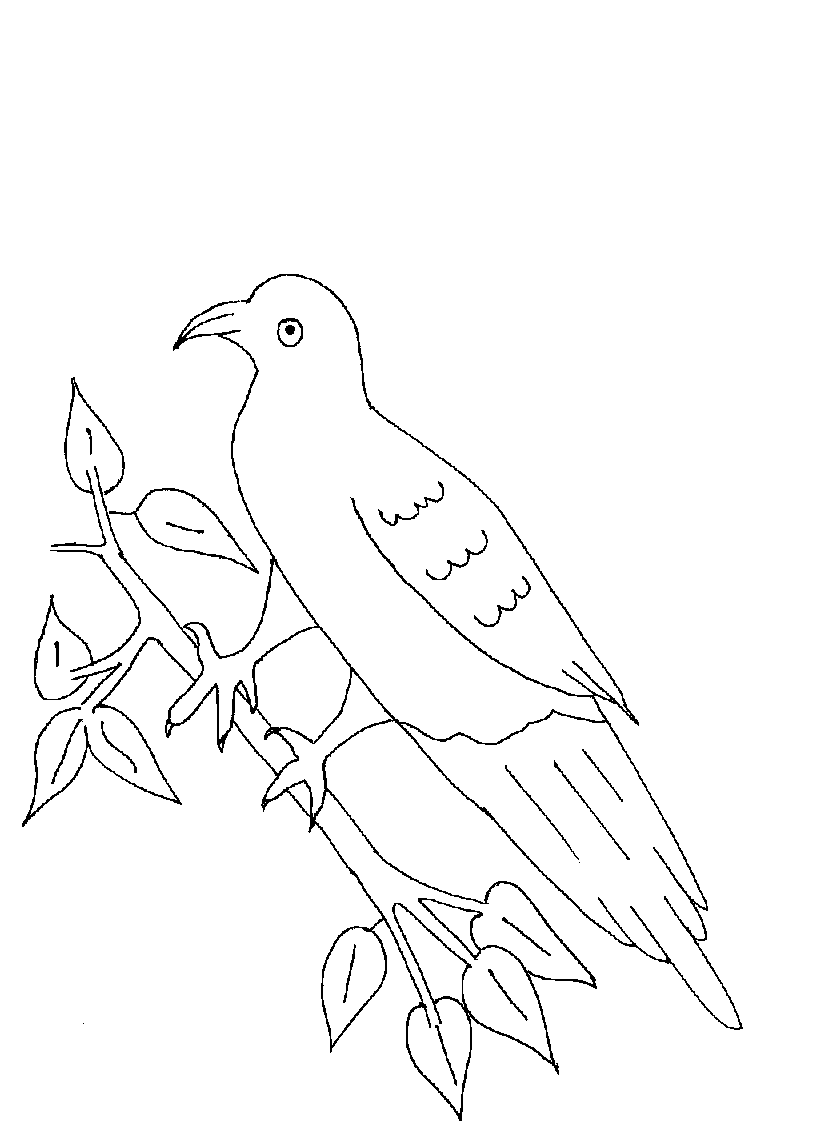 Pigeon printable coloring page for kids