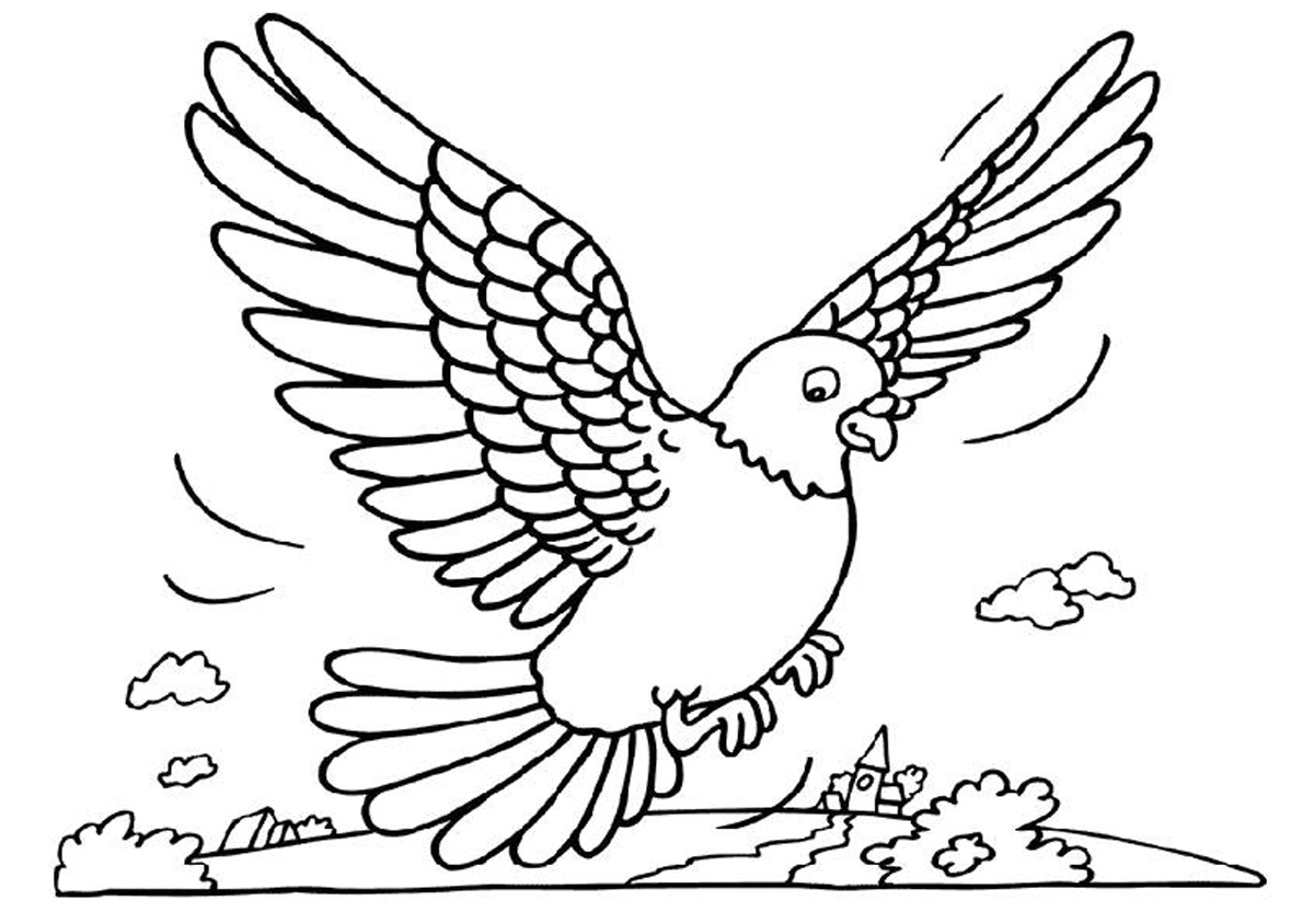 Free printable pigeon coloring pages for kids