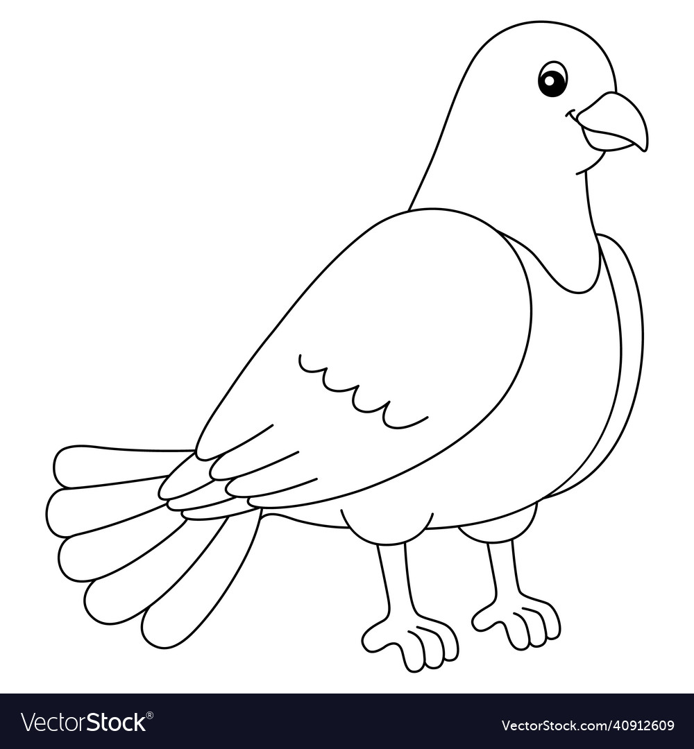 Pigeon coloring page isolated for kids royalty free vector