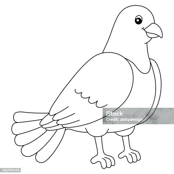 Pigeon coloring page for kids stock illustration