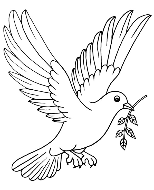 Flying pigeon coloring page to print