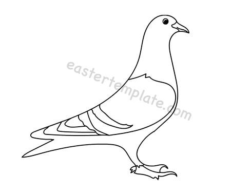 Pigeon coloring page