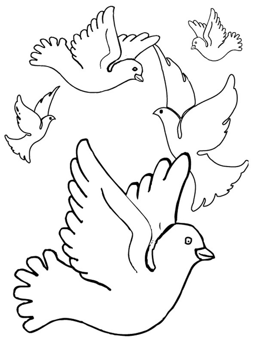 Free printable pigeon coloring pages for kids