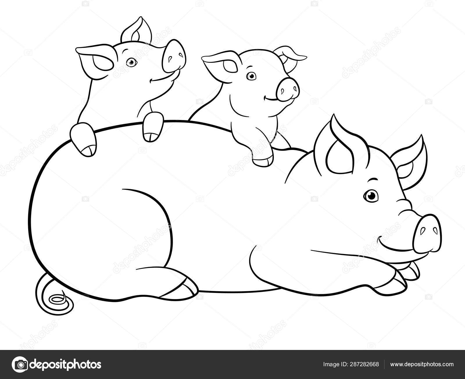 Coloring pages mother pig with her two little cute piglets stock vector by ya