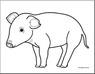 Clip art baby animals pig piglet coloring page i