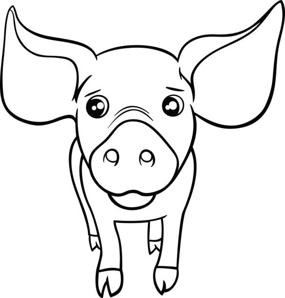 Pig or piglet coloring page stock illustration