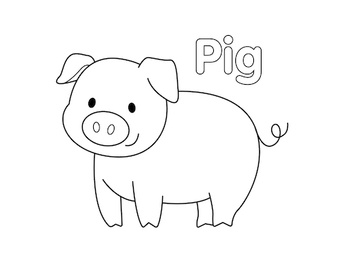 Pig coloring page