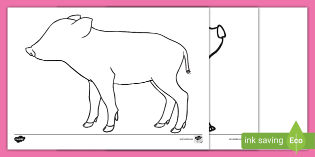 Piglet outline template teacher made