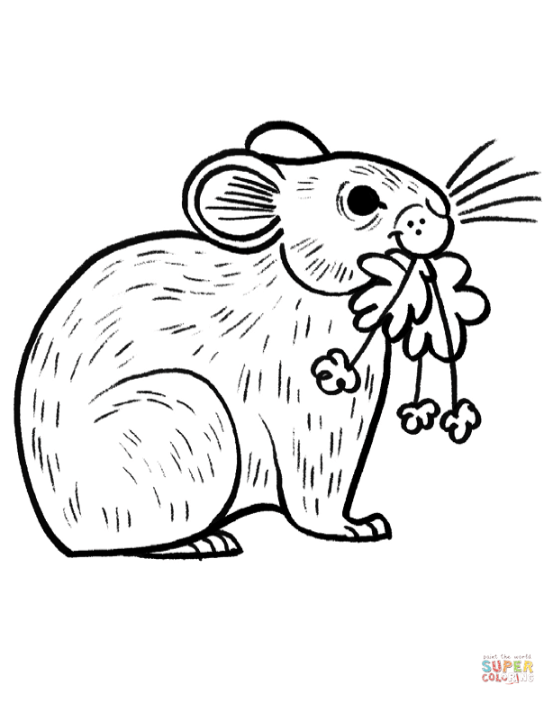 Pika coloring page free printable coloring pages