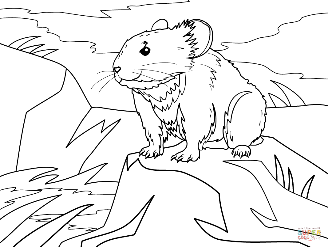 Ili pika coloring page free printable coloring pages