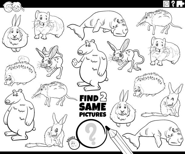 Pika stock illustrations royalty