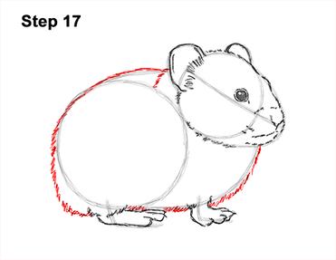 How to draw a pika video step