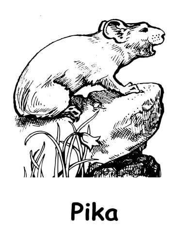 Pika coloring page free printable coloring pages