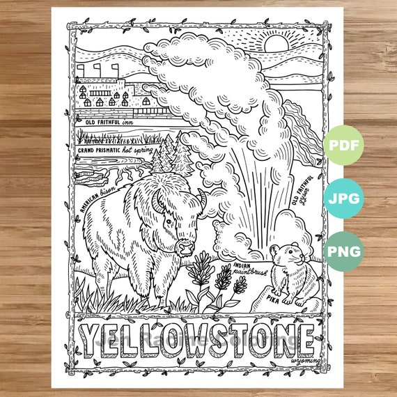 National park coloring page yellowstone animal art plants coloring page printable coloring pages for adults coloring pages for kids