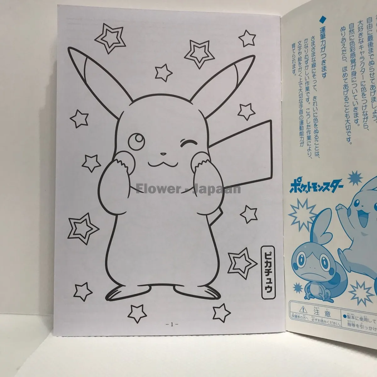 Pokemon pocket monster characters pikachu eevee charizard coloring book anime