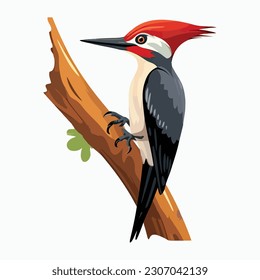 Woodpecker on tree branch flat vector stock vector royalty free