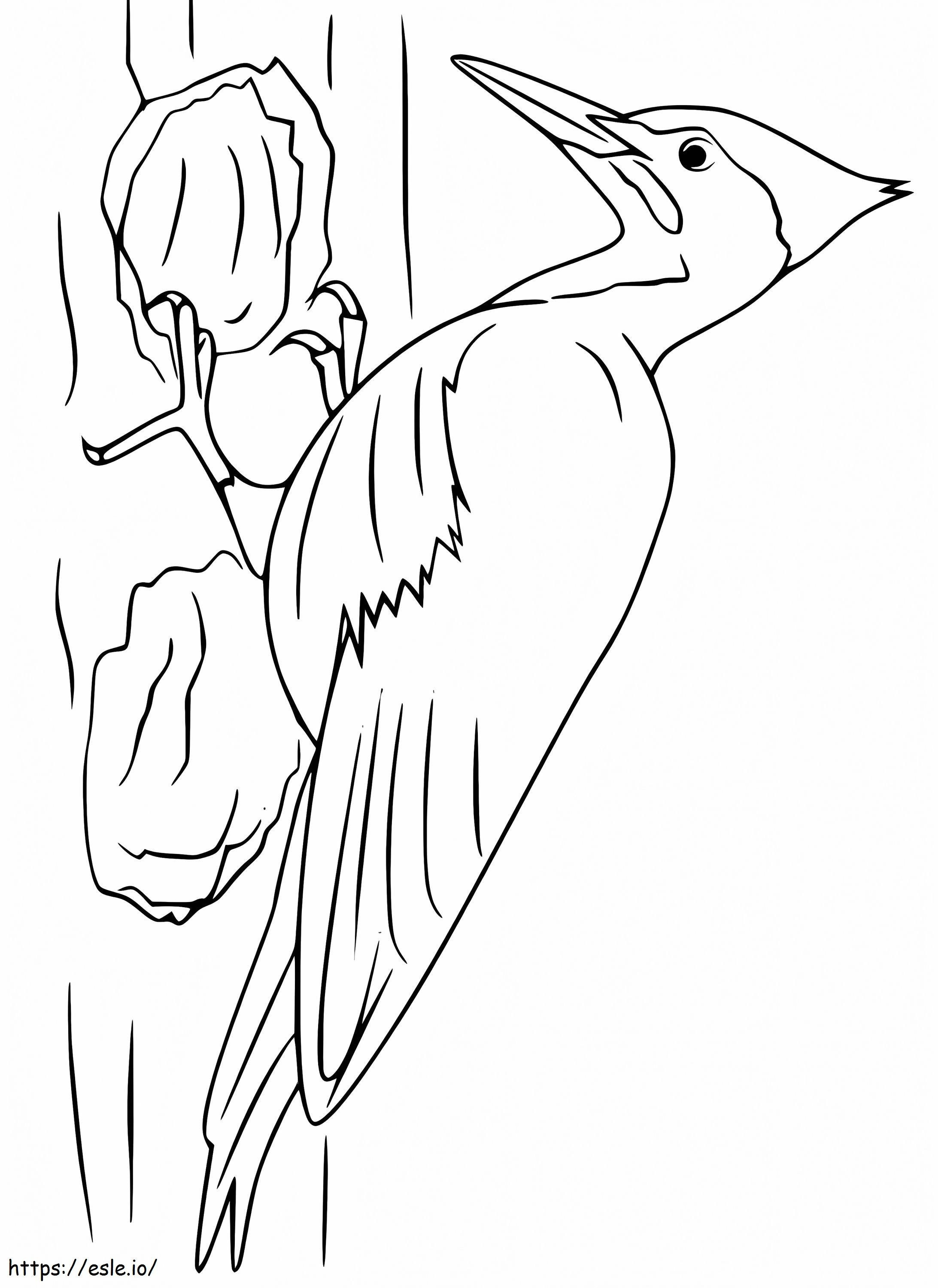 Woodpecker coloring page