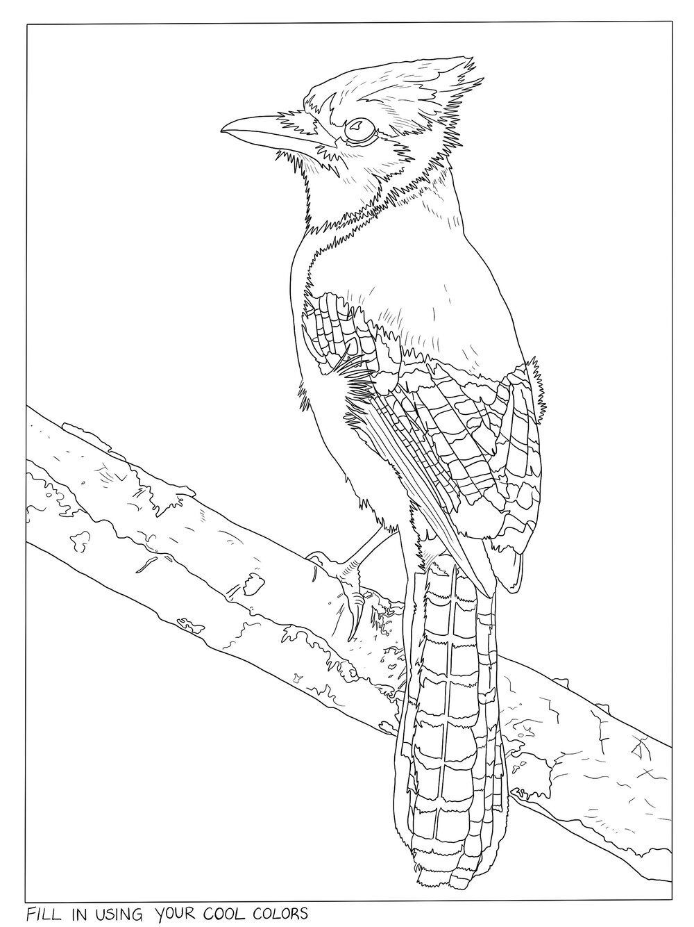 Printable coloring pages â hue studio