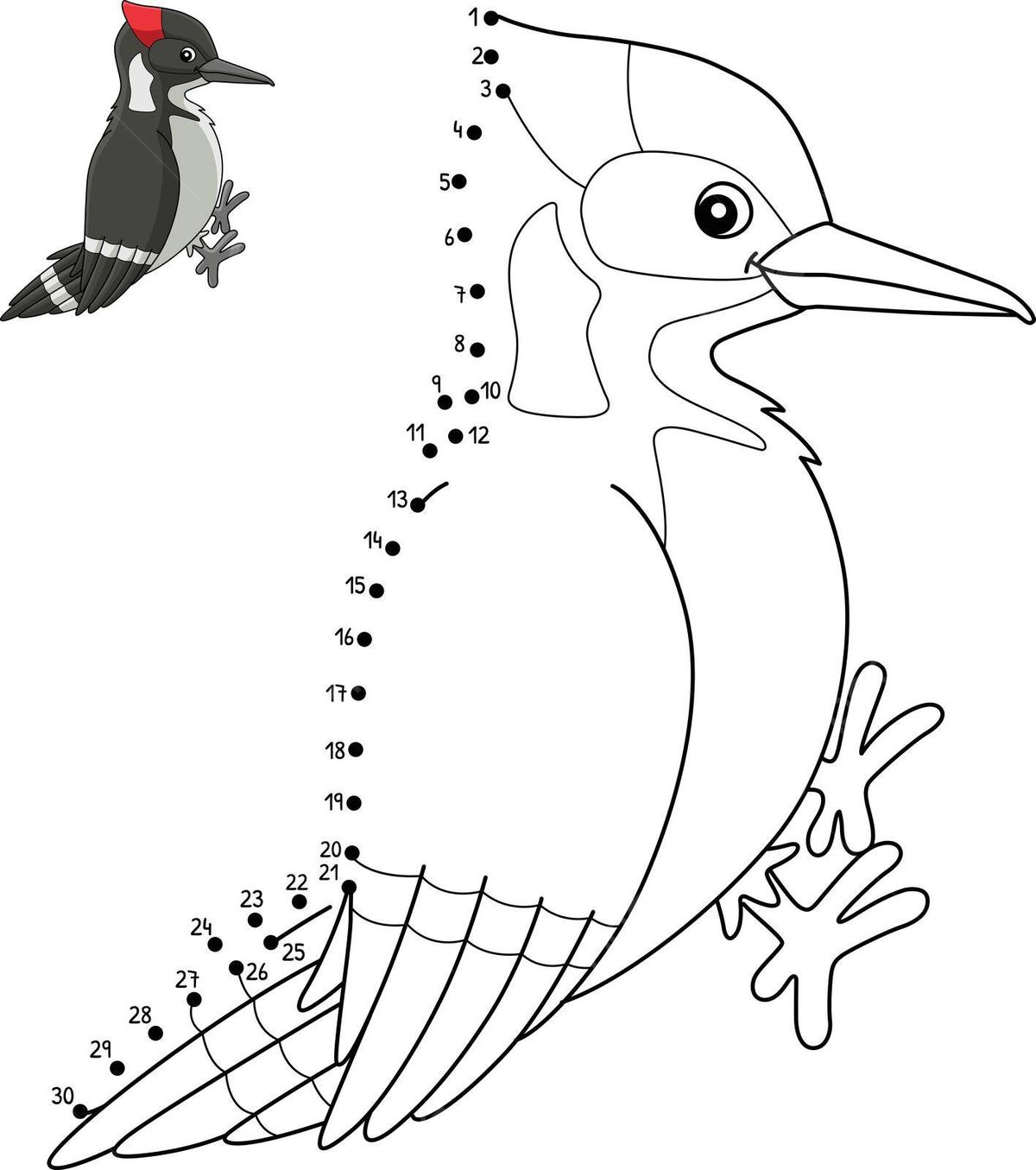 Isolated woodpecker bird coloring page with dottodot pattern vector wrynecks colouring join the dots png and vector with transparent background for free download