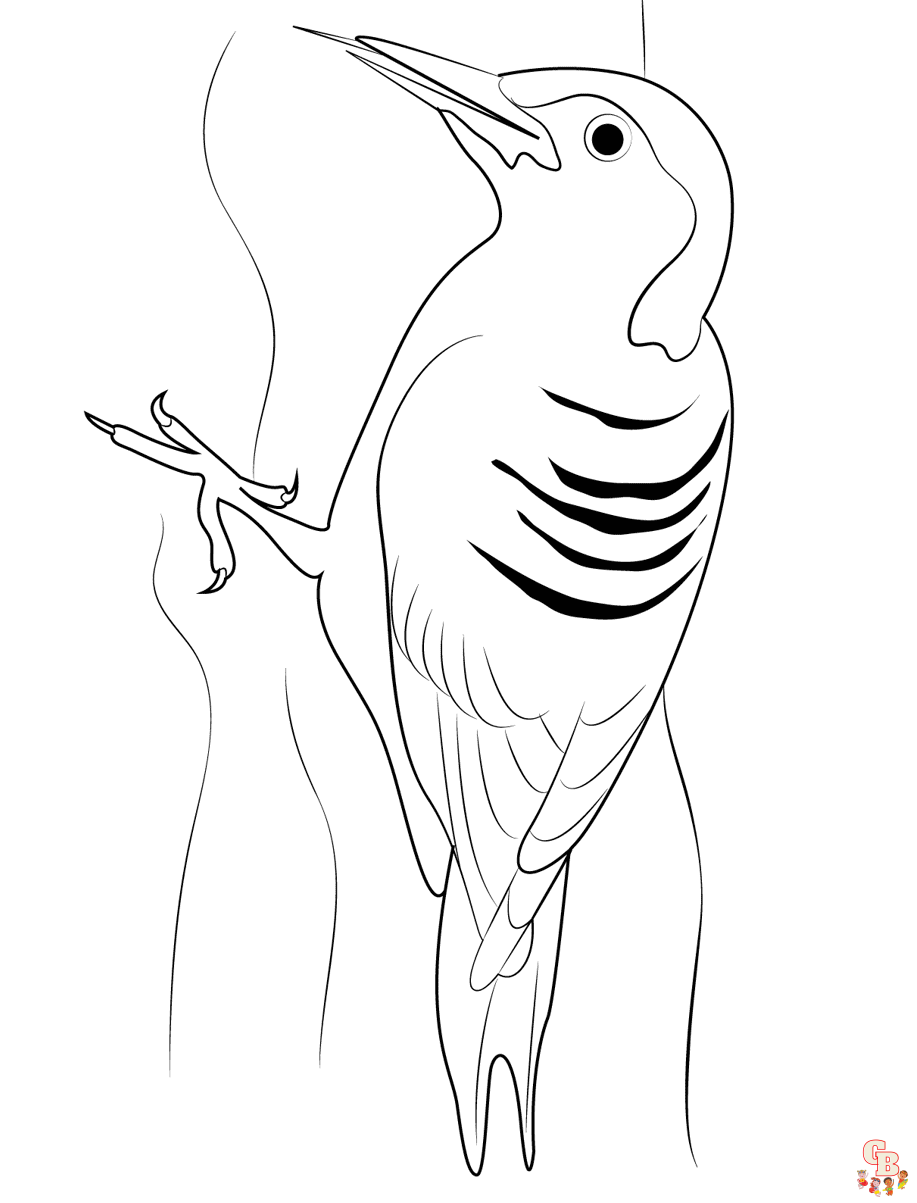 Printable woodpecker coloring pages free for kids and adults