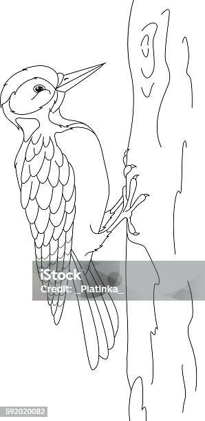 Woodpecker coloring page stock illustration