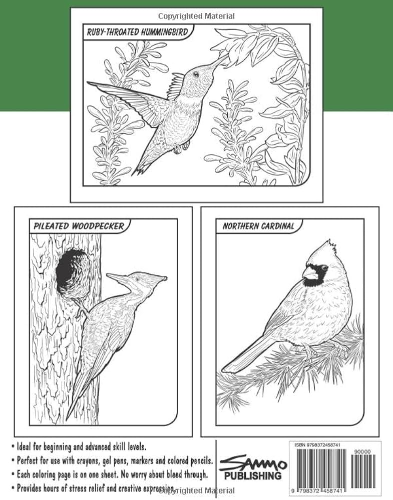 Birds of virginia coloring book for kids teens adults a collection of mon unique birds of virginia for bird watchers to identify and color morrison sam books