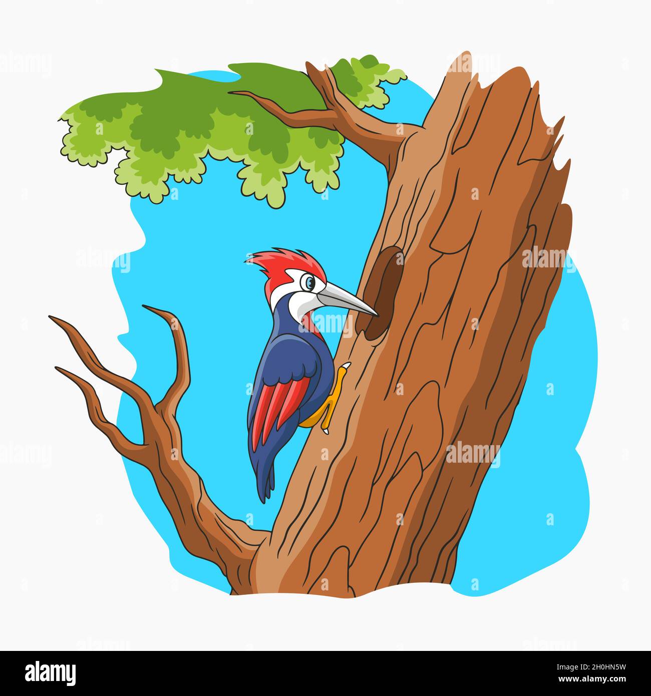 Woodpecker vector vectors hi