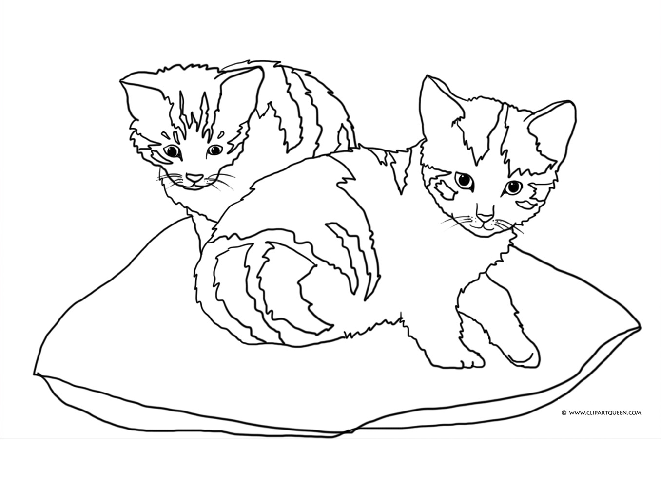 Cat coloring pages