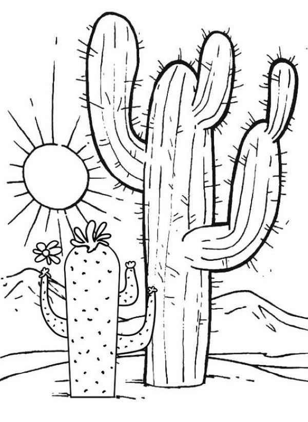 Great cactus with sunset scenery coloring pages coloring pages coloring book pages coloring books