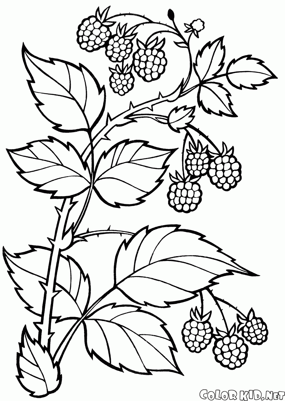 Coloring page