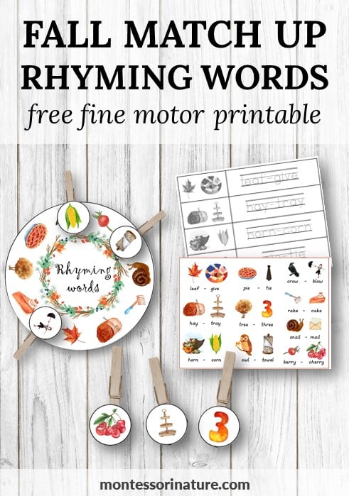 Fall match up rhyming words with pegs â free fine motor printable