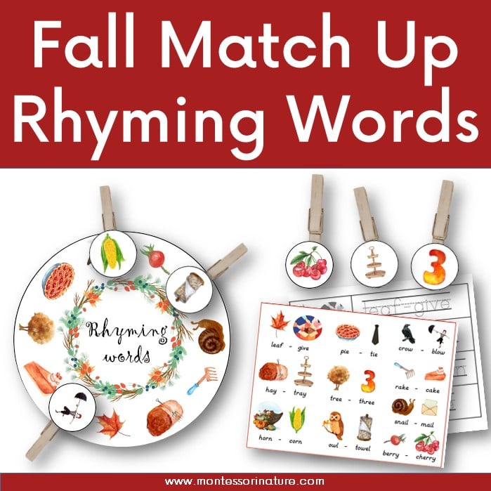 Fall match up rhyming words with pegs â free fine motor printable