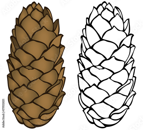 Long pinecone coloring page vector