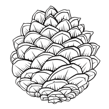 Pine cone coloring page with black and white background outline sketch drawing vector wing drawing ring drawing pin drawing png and vector with transparent background for free download