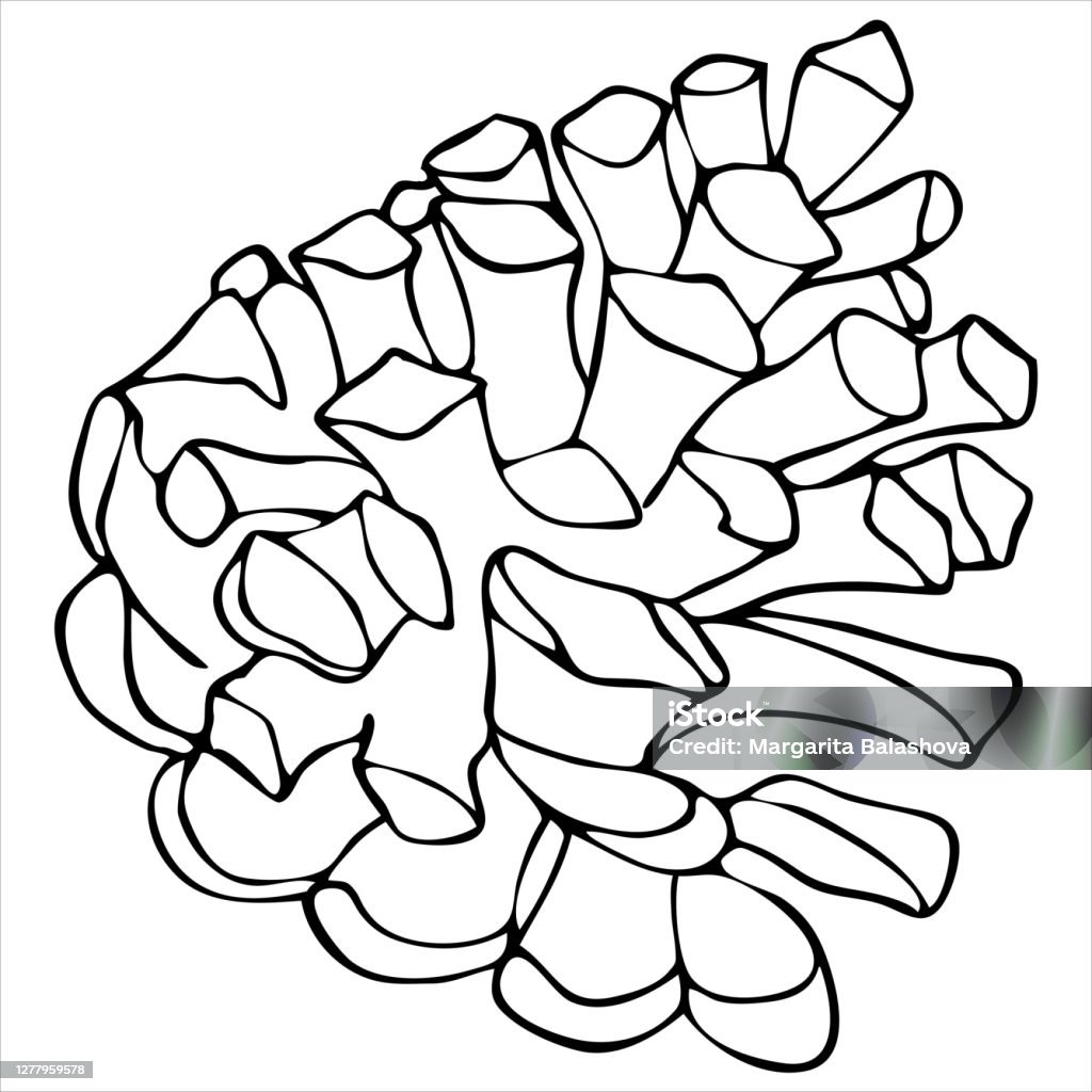 Coloring book pine cone vector element in doodle style stock illustration