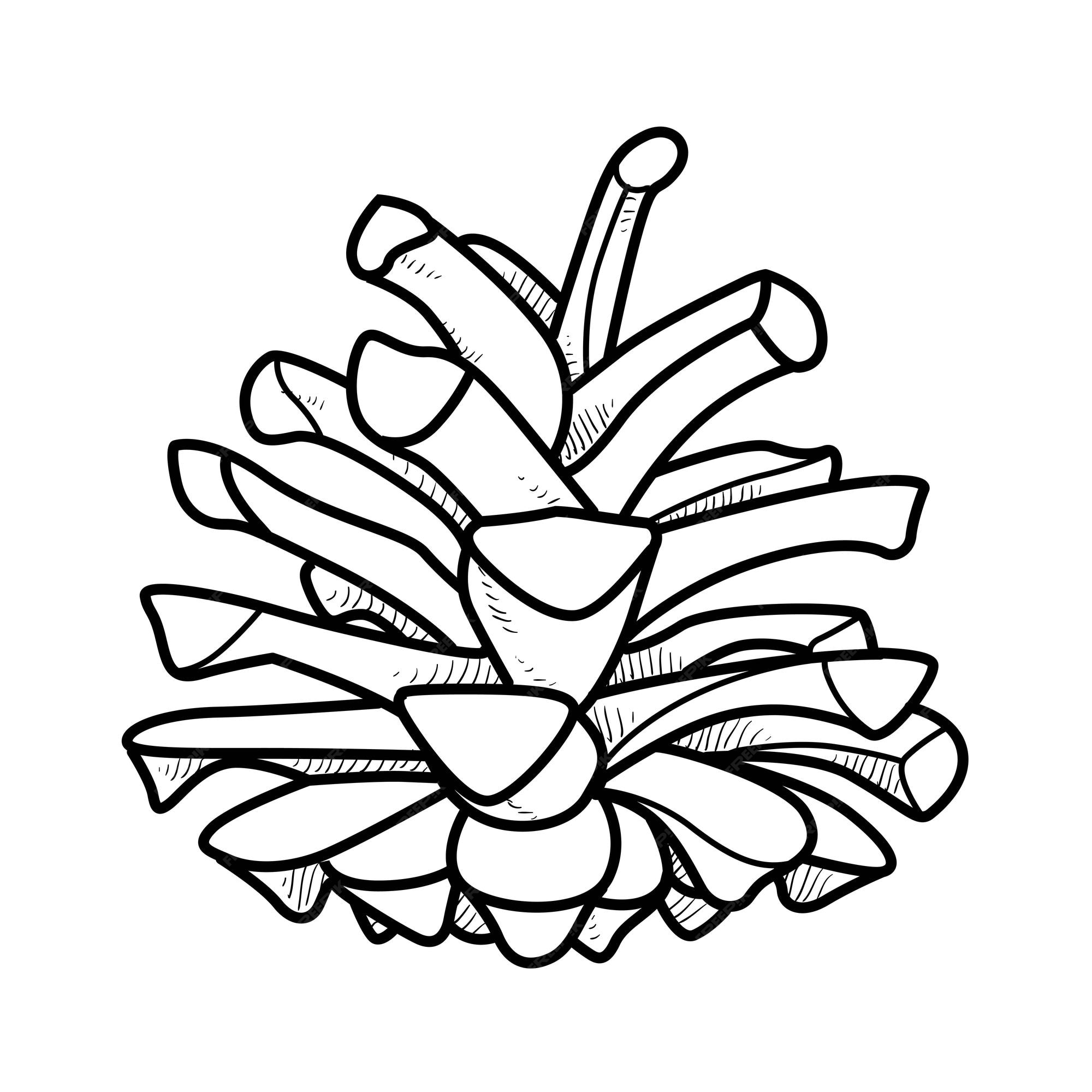 Premium vector pine cone outline for coloring on white background