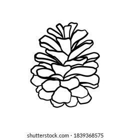 Pine cones sketch images stock photos d objects vectors