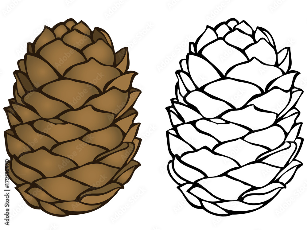 Pinecone icon coloring page vector