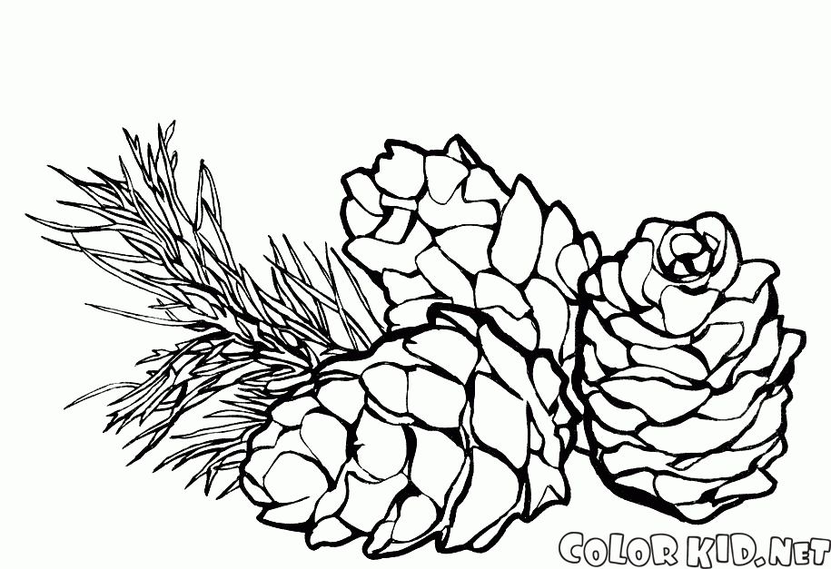 Coloring page