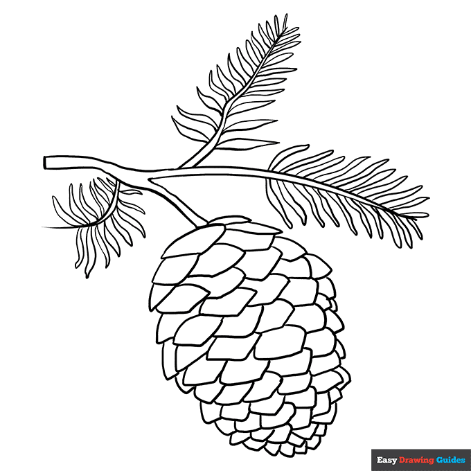 Pinecone coloring page easy drawing guides