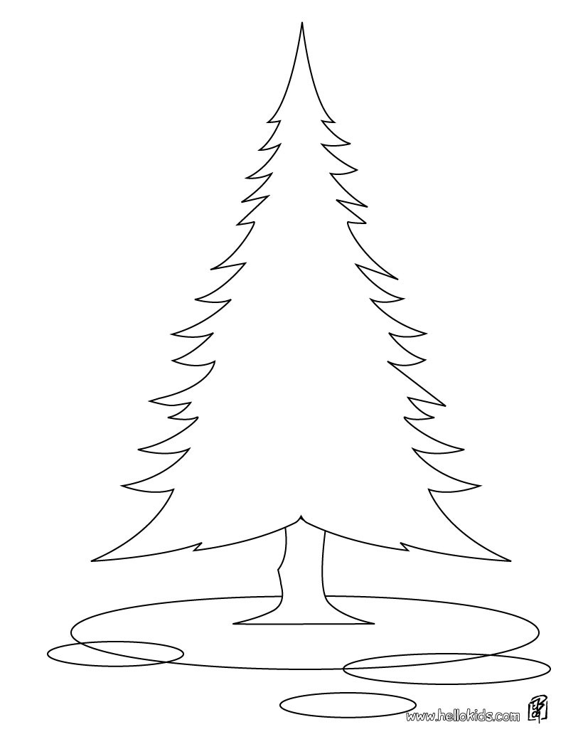 Fir tree coloring pages