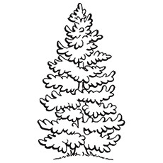 Top tree coloring pages for your little ones
