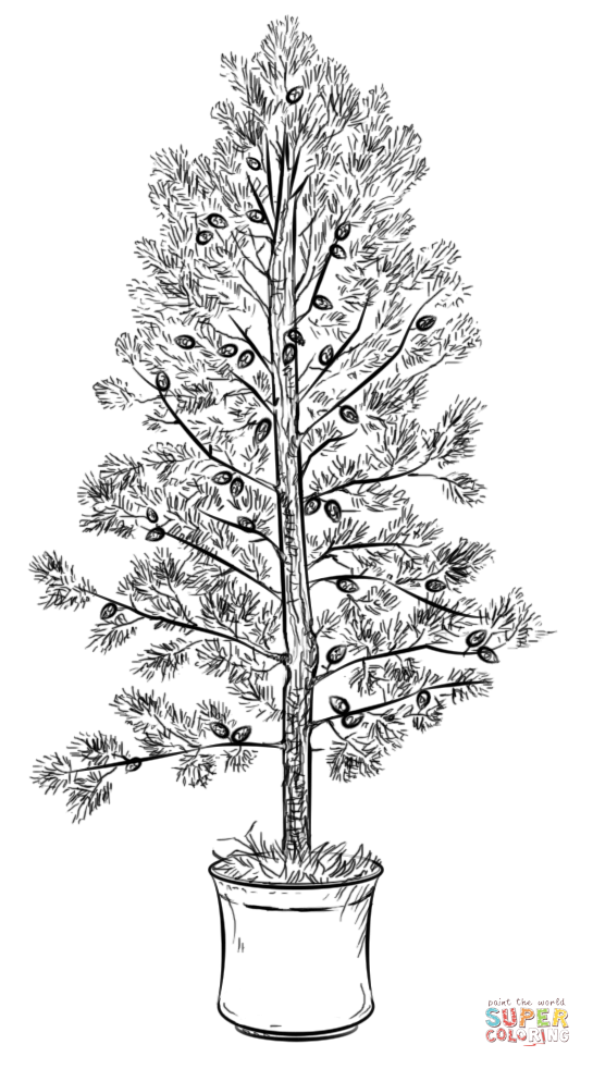 Pine tree coloring page free printable coloring pages