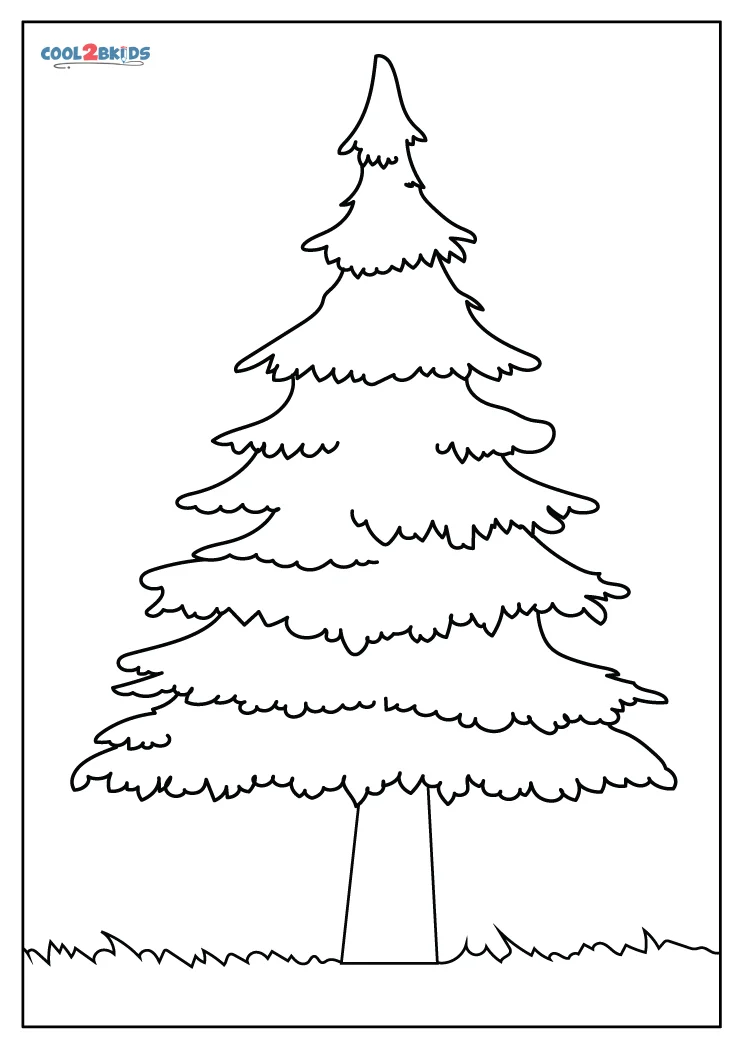 Free printable pine tree coloring pages for kids